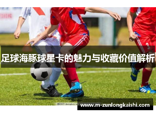 足球海豚球星卡的魅力与收藏价值解析