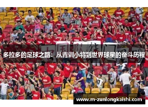 多拉多的足球之路：从青训小将到世界球星的奋斗历程