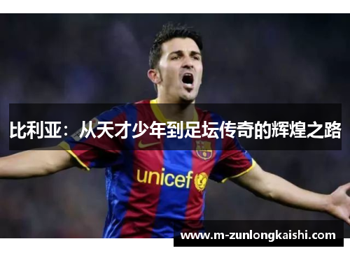 比利亚：从天才少年到足坛传奇的辉煌之路