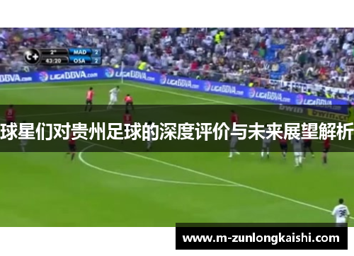 球星们对贵州足球的深度评价与未来展望解析