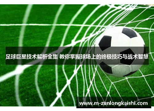 足球巨星技术解析全集 教你掌握球场上的终极技巧与战术智慧